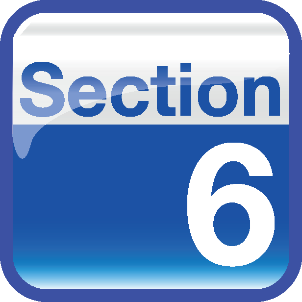 Section 6 Solution